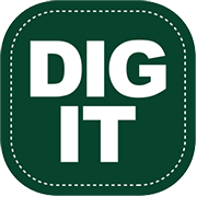 Logo dig it
