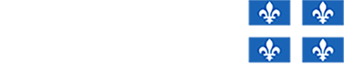 Logo quebec resize pour site web 5 0 487x105